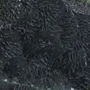 Wavellite - image 3