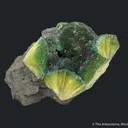 Wavellite - image 3
