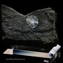 Wavellite - image 1