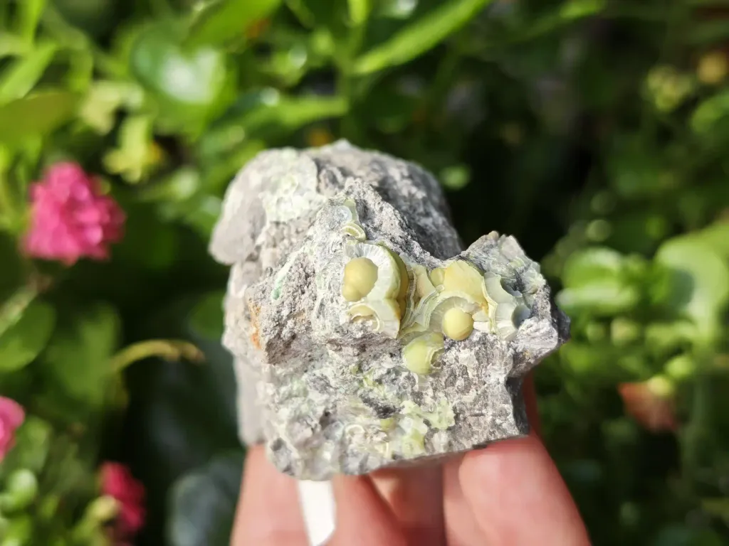 Wavellite from Arkansas, USA. Lime green wavellite spheres and slightly lustrous, with a strong and defined crystal structure - image 4
