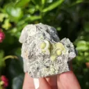 Wavellite from Arkansas, USA. Lime green wavellite spheres and slightly lustrous, with a strong and defined crystal structure - image 4