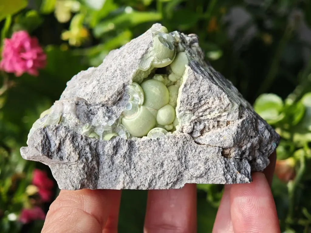 Wavellite from Arkansas, USA. Lime green wavellite spheres and slightly lustrous, with a strong and defined crystal structure image