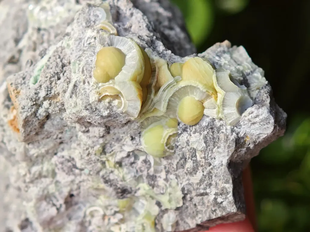 Wavellite from Arkansas, USA. Lime green wavellite spheres and slightly lustrous, with a strong and defined crystal structure - image 5