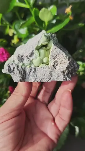 specimen video