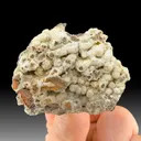 Wavellite from General Trimble's Mine, Pennsylvania, USA - image 1