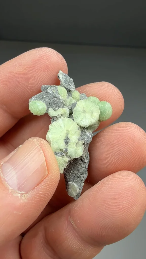 Wavellite from Mauldin Mountain, Arkansas, USA - image 2