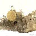 Wavellite on Quartz - image 1