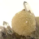 Wavellite on Quartz - image 2