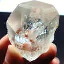 specimen video