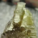 Weloganite - image 2