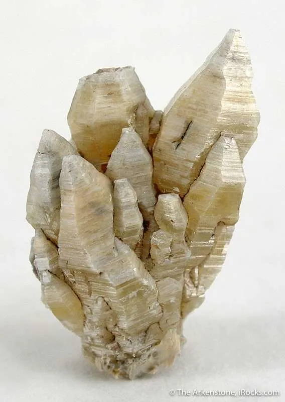Weloganite - image 2