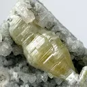 Weloganite - image 2