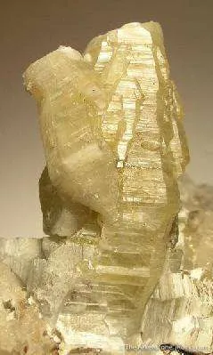 Weloganite - image 2