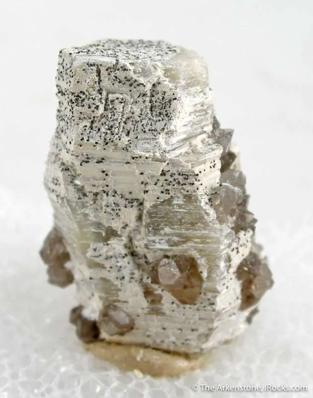 Weloganite image