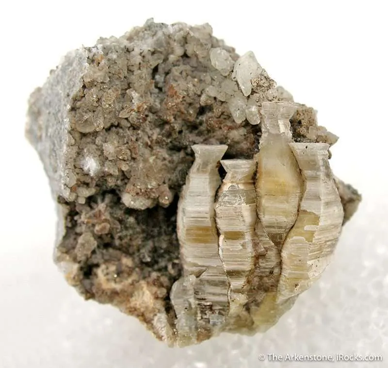 Weloganite image