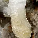 Weloganite - image 2