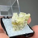 Weloganite - image 1