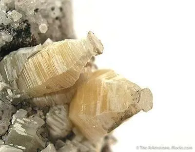 Weloganite - image 2