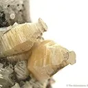 Weloganite - image 2