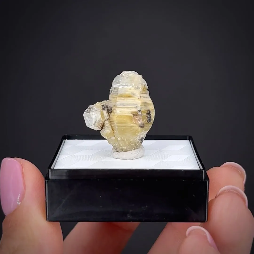 Weloganite - image 2