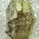 Weloganite - image 1