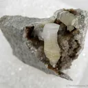 Weloganite - image 1