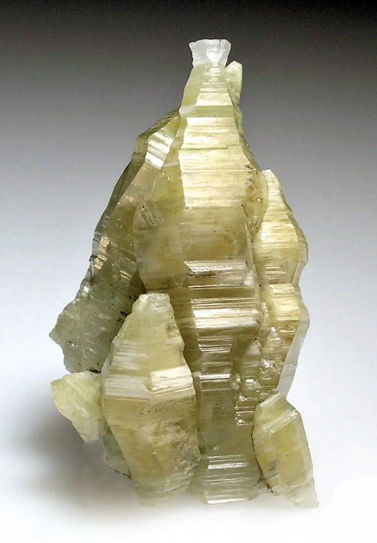 Weloganite - image 1