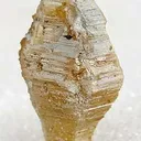 Weloganite - image 2