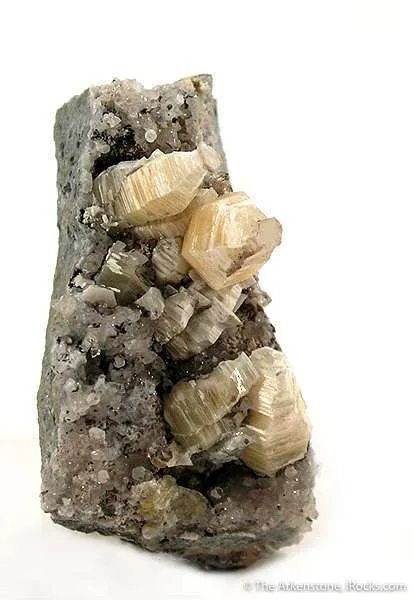 Weloganite image