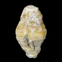 Weloganite - image 1