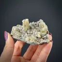 Weloganite - image 2