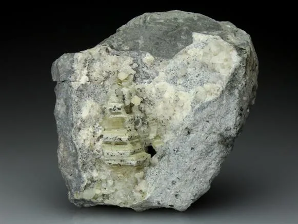Weloganite image