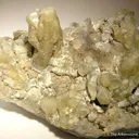 Weloganite - image 1