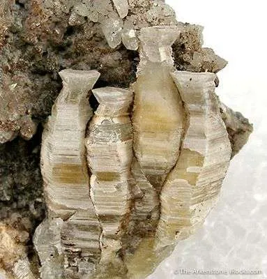Weloganite - image 2