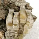 Weloganite - image 2