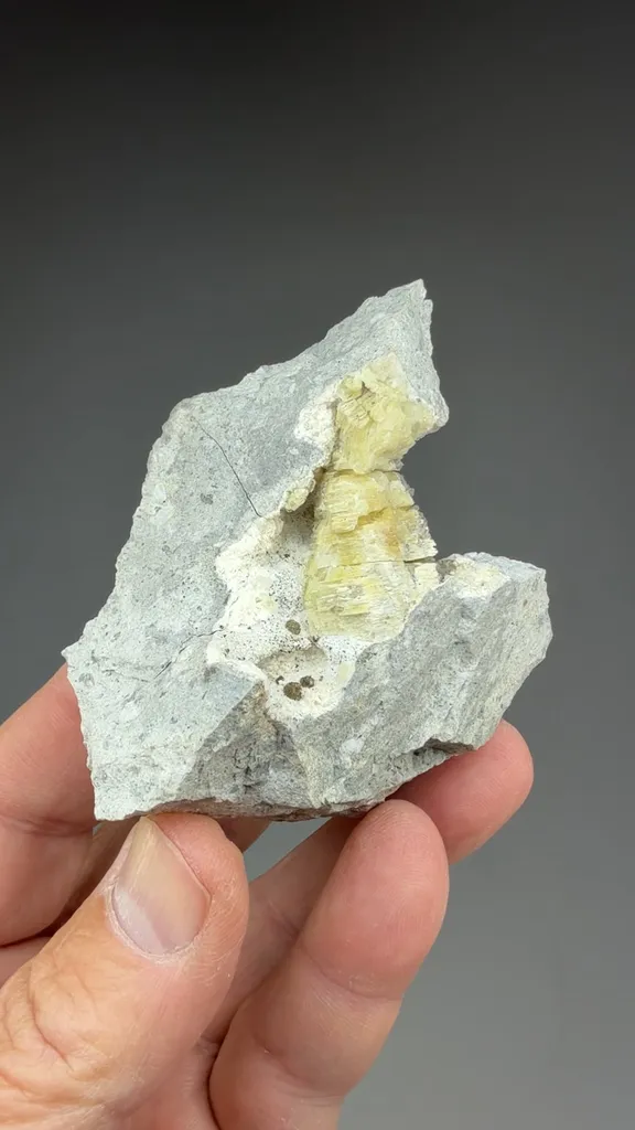 Weloganite with Marcasite (repaired) - image 2