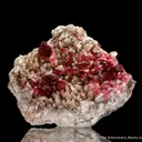 Wendwilsonite - image 1