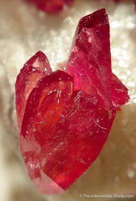 Wendwilsonite - image 4