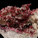 Wendwilsonite - image 2