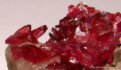 Wendwilsonite - image 2