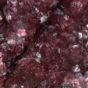 Wendwilsonite - image 1