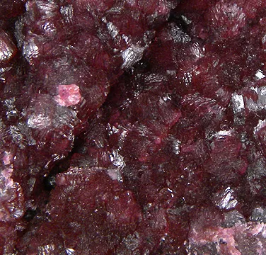 Wendwilsonite - image 1