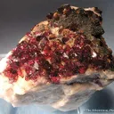 Wendwilsonite - image 1