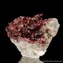Wendwilsonite - image 1