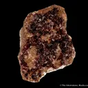 Wendwilsonite - image 1