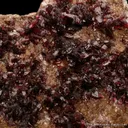 Wendwilsonite - image 2