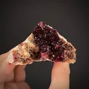 Wendwilsonite on Dolomite (co-type locality) - image 1