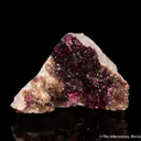 Wendwilsonite on Dolomite (co-type locality) - image 1