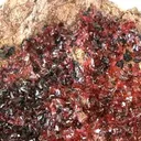 Wendwilsonite, Roselite - image 2