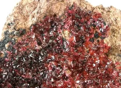 Wendwilsonite, Roselite - image 2